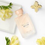 عطر ايكلات فييم وييك اند