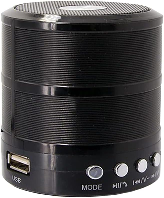 مكبر صوت بلوتوث صغير WS-887 (متعدد الألوان)