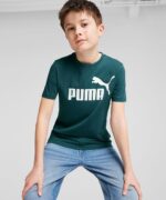 تيشرت بشعار للرجال من بوما Essentials، (01) مقاس XXL - الصورة 2