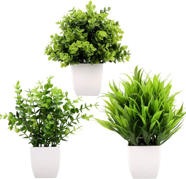 نباتات اصطناعية صغيرة في اصيص من جرين تايم، نباتات اوكالبتوس البلاستيكية الاصطناعية، نباتات عشب القمح، نباتات صناعية داخلية للمكتب وطاولة القهوة والحمام وغرفة النوم وديكور المنزل
