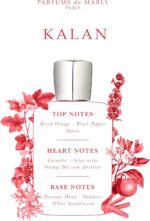⁦عطر بخاخ كالان من بيرفيومز دي مارلي عطر رجالي او دو بارفان، 4.2 اونصة/125 مل⁩ - الصورة ⁦4⁩