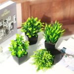 ⁦نباتات صناعية صغيرة في اصيص اسود من جرين تايم اوكالبتوس الاصطناعية الصغيرة خضراء للمنزل والمكتب والمنزل الريفي وديكور طاولة الحمام 4 قطع⁩ - الصورة ⁦7⁩