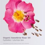 Clarins Lip Comfort Oil 25 Black 7ml - الصورة 6