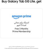 سامسونج تابلت جالكسي تاب اس 10 لايت، شبكة الجيل الخامس 5G، رمادي، ذاكرة رام 6 جيجا، تخزين 128 جيجا، شاشة 10.9 انش 90 هرتز، عمر بطارية طويل - الصورة 2