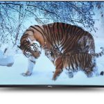 تلفزيون LED بدون إطار FHD عالي الدقة 43 بوصة من سكاي لاين