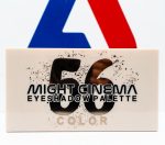 باليت ظلال جفون ايشادو بألوان مطفية ولامعة ودرجات دافئة وباردة من مايت سينما، 56 لون - الصورة 4